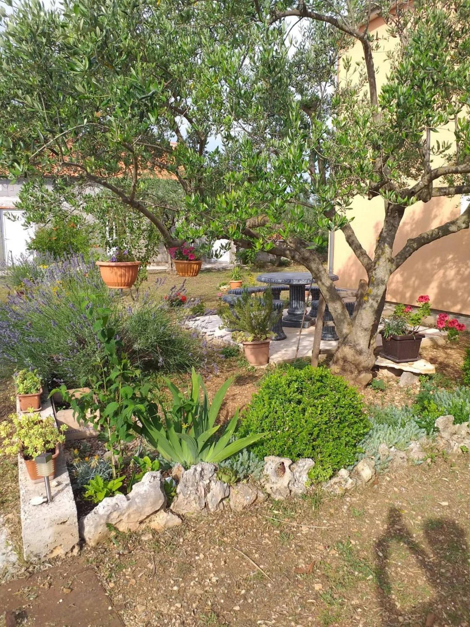Rural Apartment Ante Дрниш Екстер'єр фото